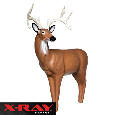 X-Ray Series Big Buck