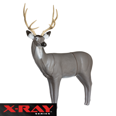 X-Ray Series Mule Deer