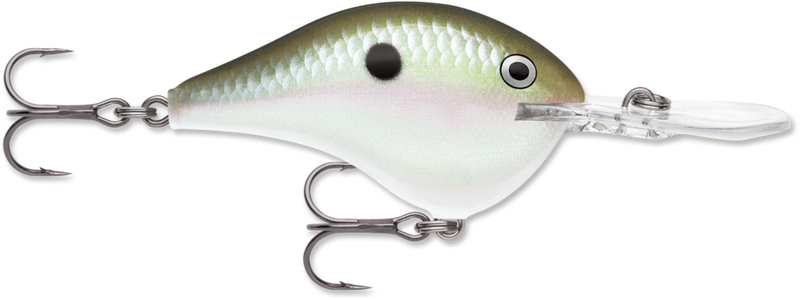 Rapala DivesTo 10 Crankbaits